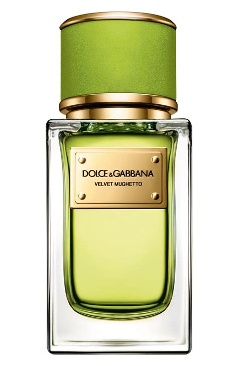 Velvet Mughetto Dolce&Gabbana for women and men